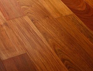 JATOBA